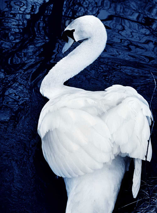 Boris Winter